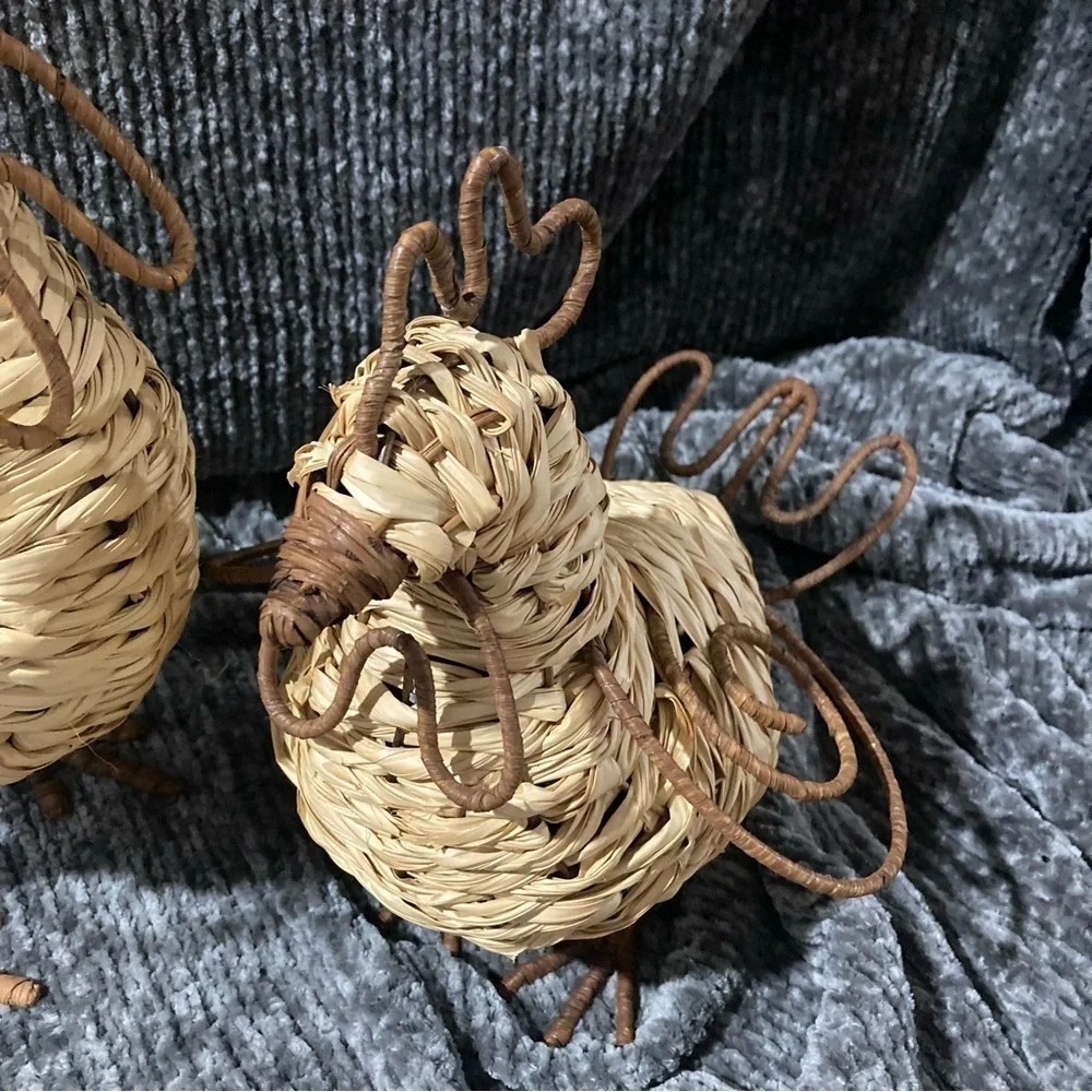 Chicken/Rooster Wire Raffia Set Decor Kitchen Farmhouse